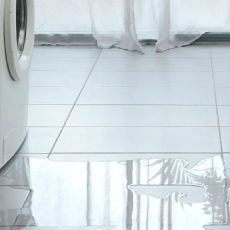 Appliance Leak Cleanup in Danbury, TX