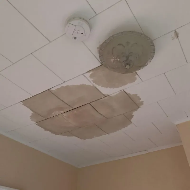 Ceiling Water Damage Repair in Danbury, TX