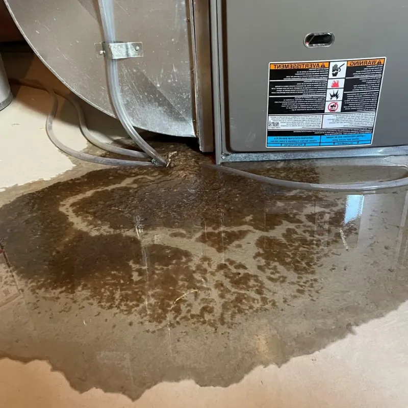 Pipe Burst and Leak Restoration in Danbury, TX