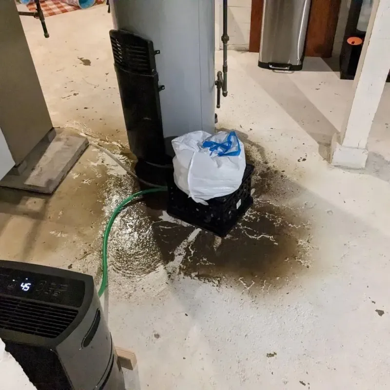 Sewage Backup Cleanup Service in Danbury, TX